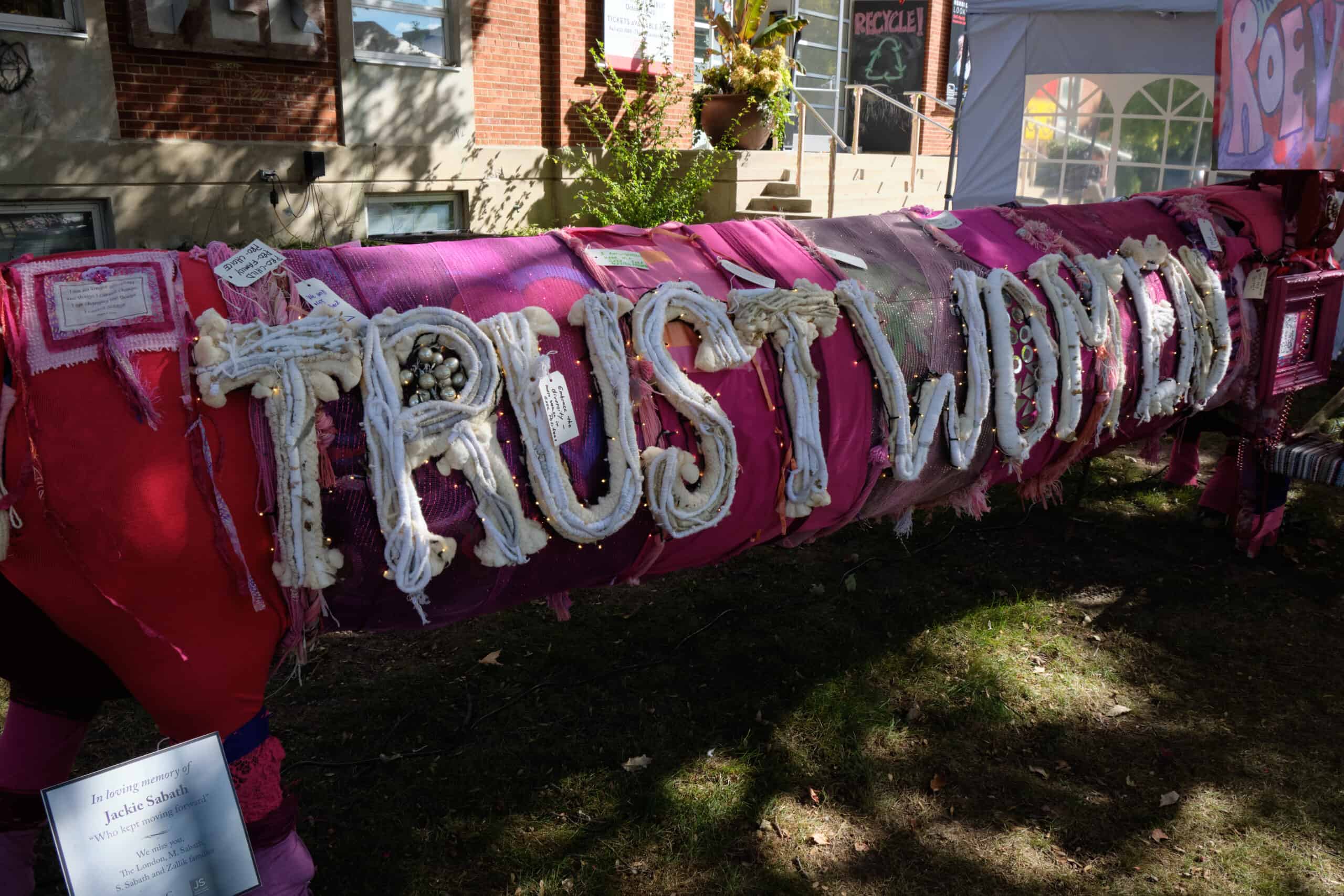 Trust Women pink cloth white yarn