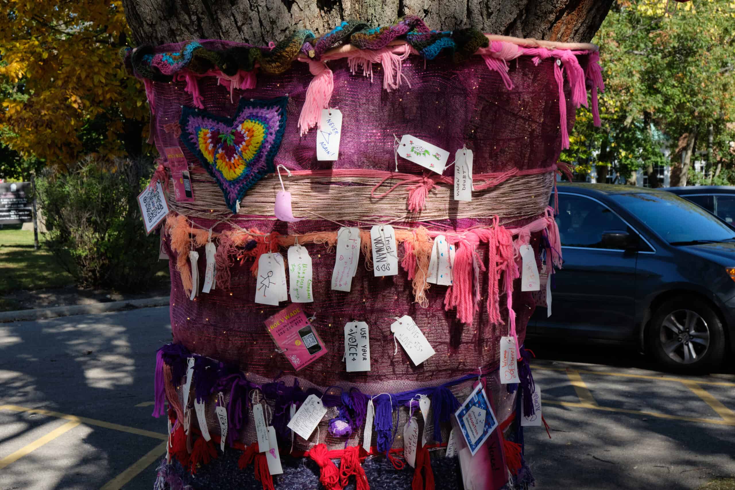 tree yarn bomb Reproductive rights use your voice