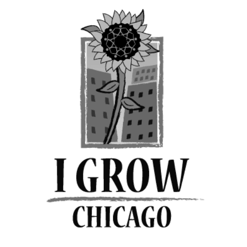 I Grow Chicago